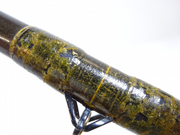 プロフィールド ’石鯛ロイヤル５４０